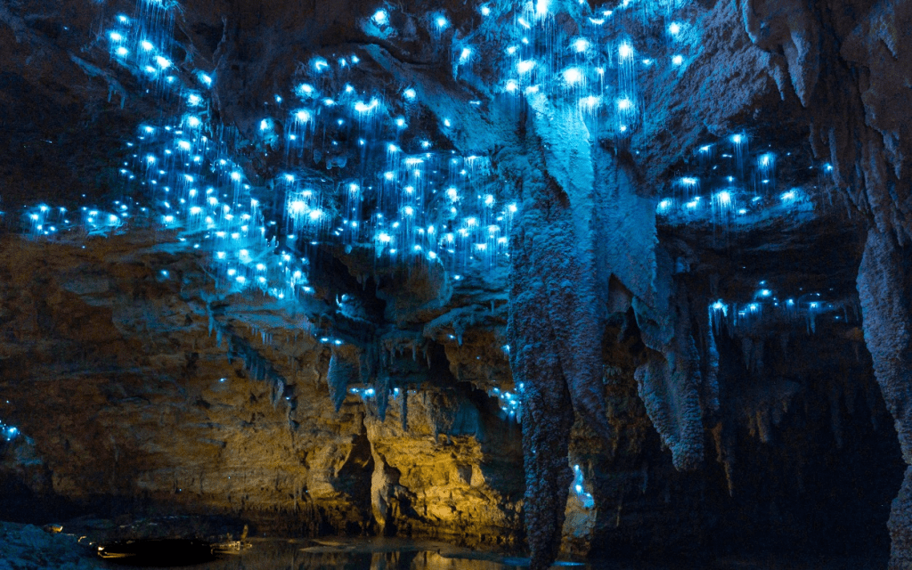 Exploração das Cavernas de Waitomo: Uma Aventura Subterrânea na Nova ...